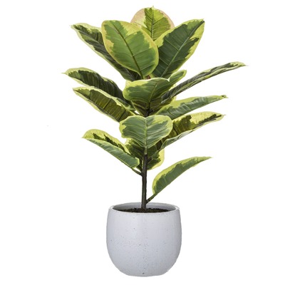 Turtle Leaf Bush Planter