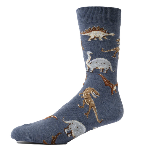 Dinosaur Men's Socks