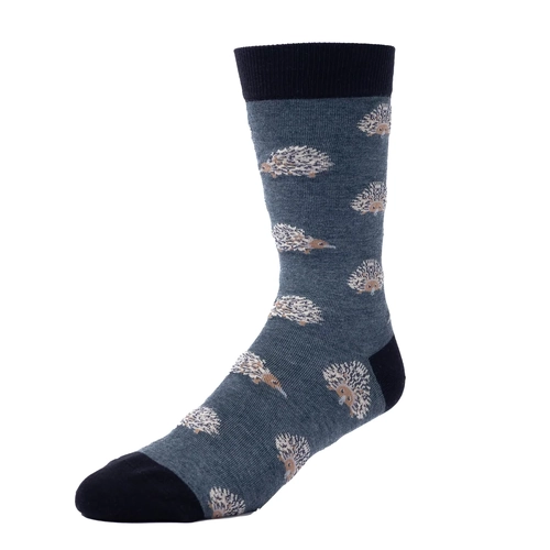 Are You Echidding Me? Men's Socks