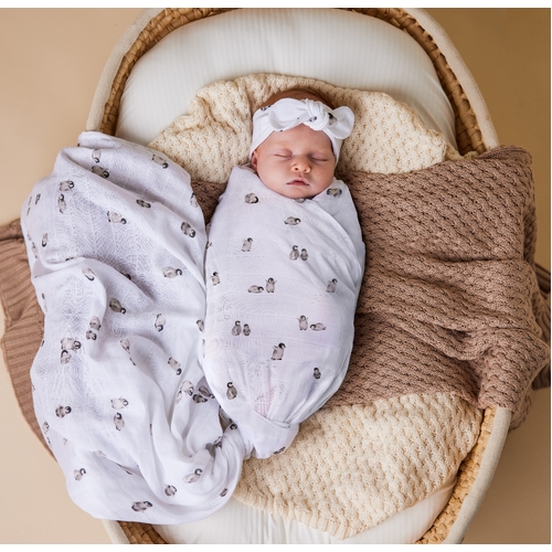 Penguin Organic Muslin Wrap